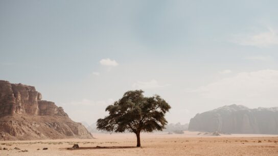 Photo Desert landscape