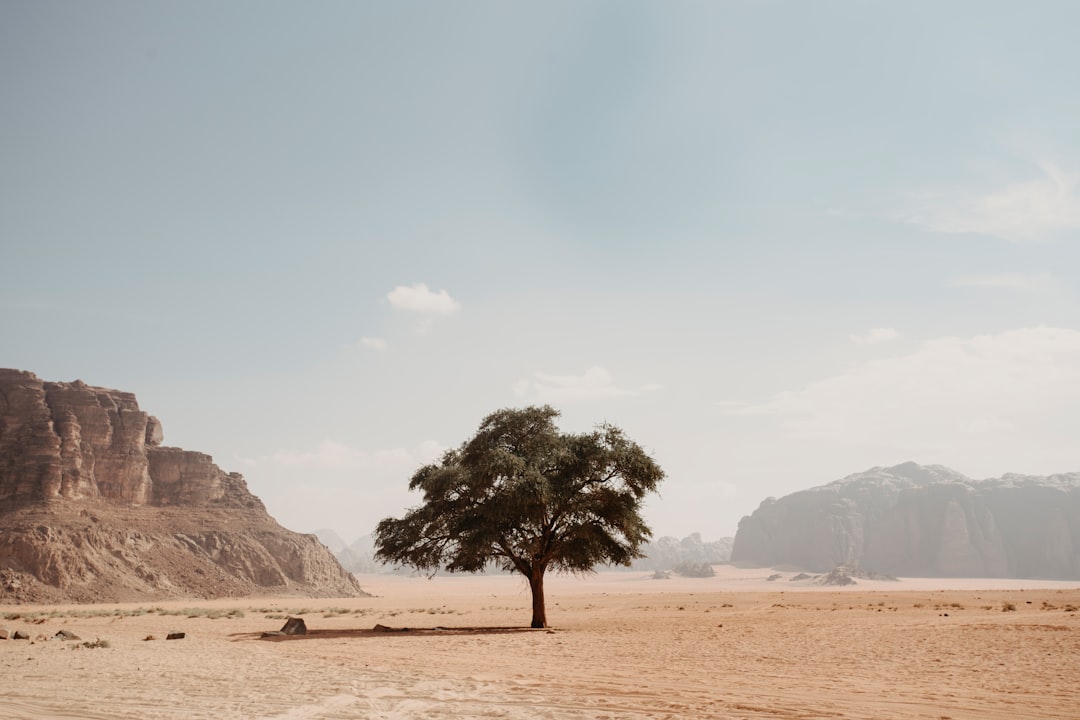 Photo Desert landscape